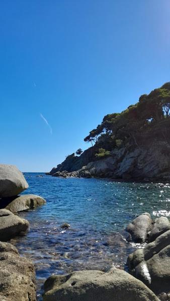 Terrassa-Solarium Centre Lejlighed Platja d'Aro Eksteriør billede